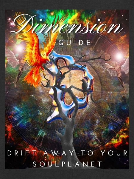 Dimension Guide