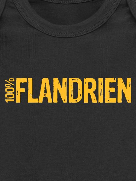 100% Flandrien