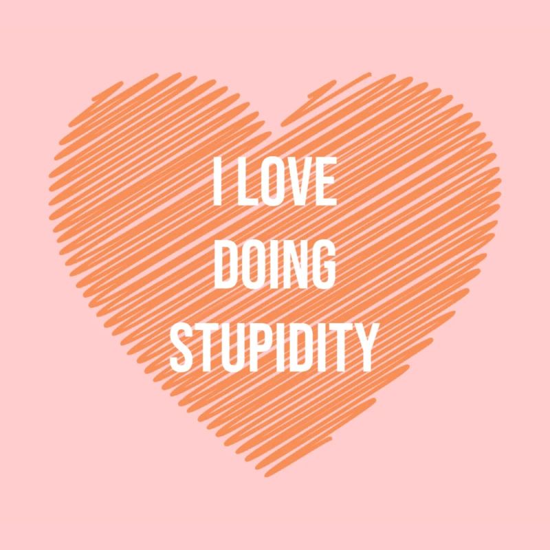 Faiseur de stupidité