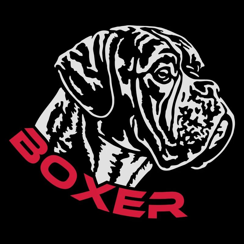 587 Boxer