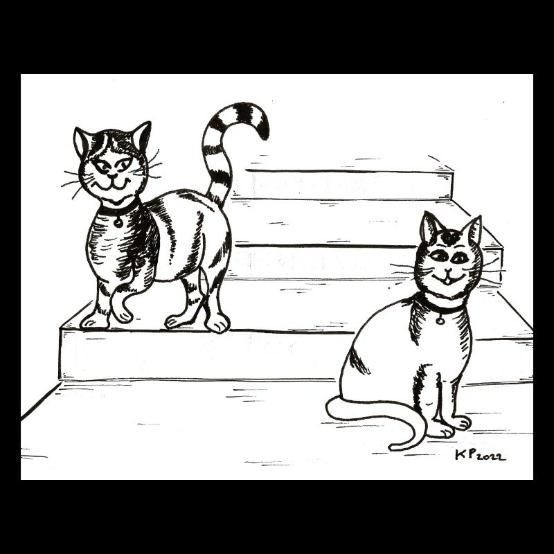 Amis chats
