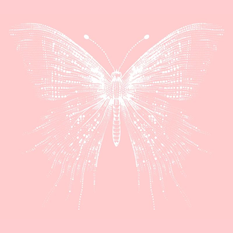 Papillon en code Ascii