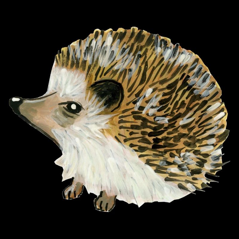 Igel Igel Igel Porco-Espinho Riccio Erizo