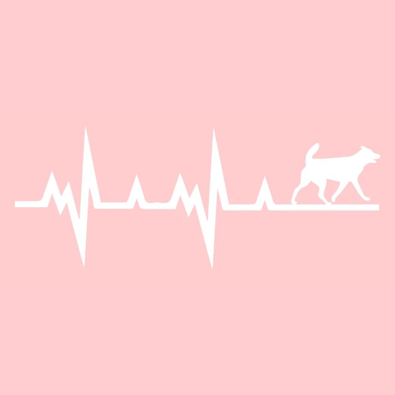 Dog dog