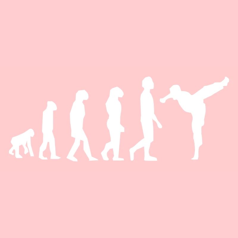 Art martiaux évolution