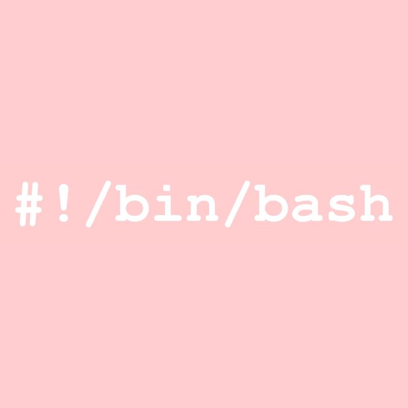 Bash / Bourne-Again Shell in Linux and Unix