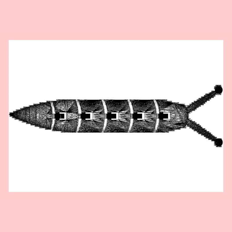 Kackschnecke