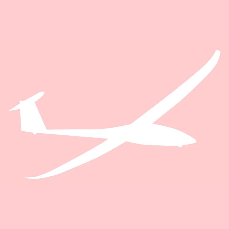 Glider glider sailing plane