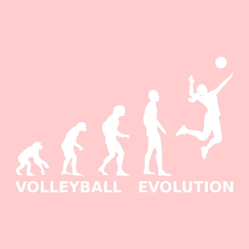 Volley-ball Evolution