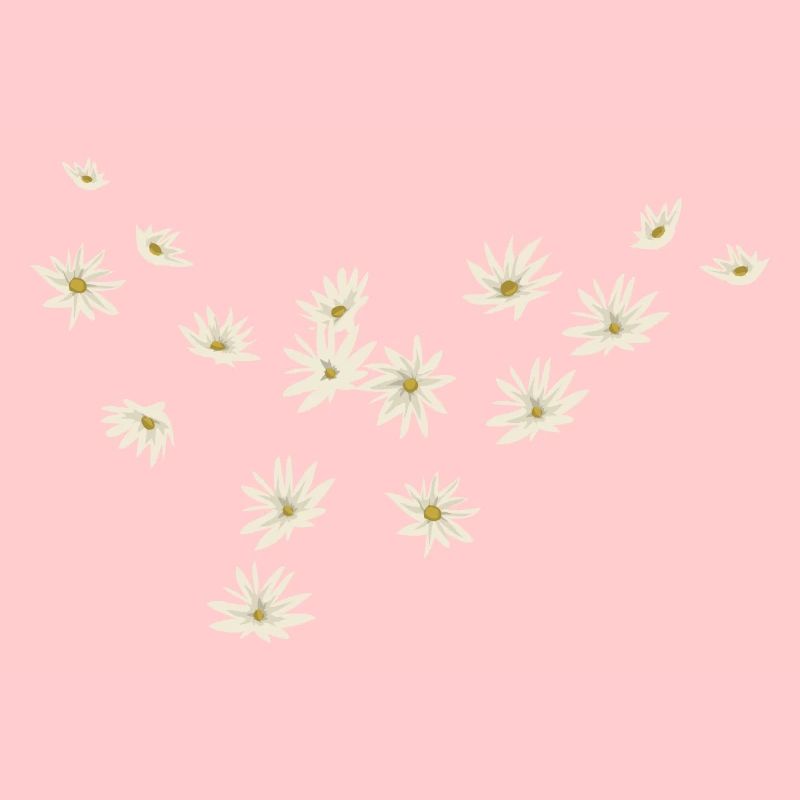 Gaenseblume Spring Natural gift idea