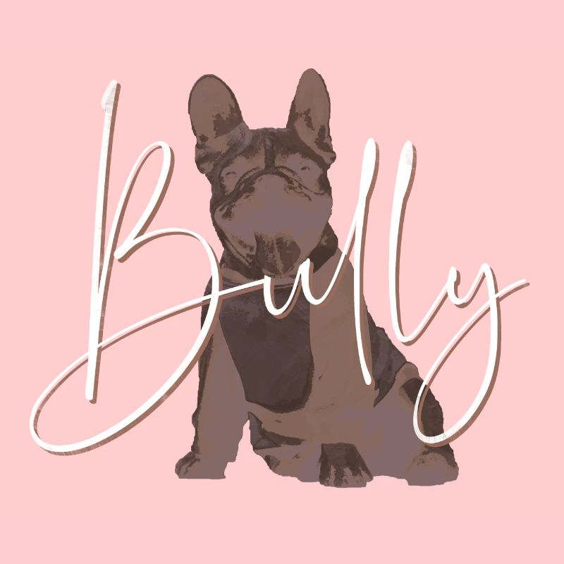 Bully font
