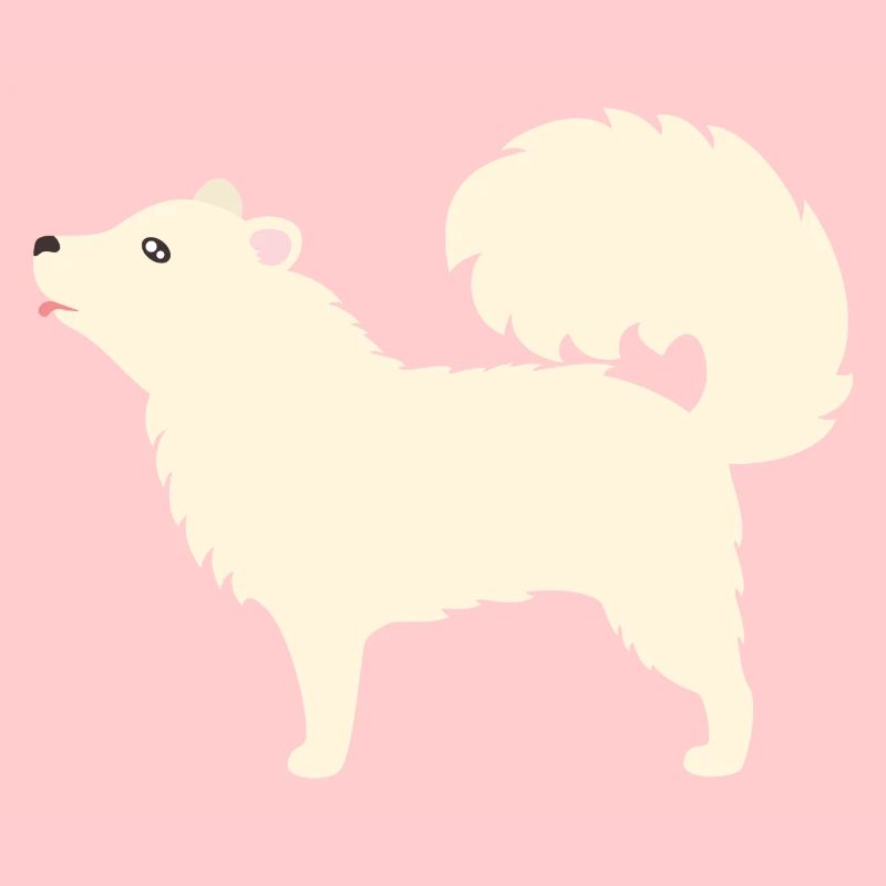 Samoyed