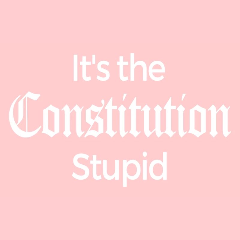 It's The Constitution Stupid - Fun Gift