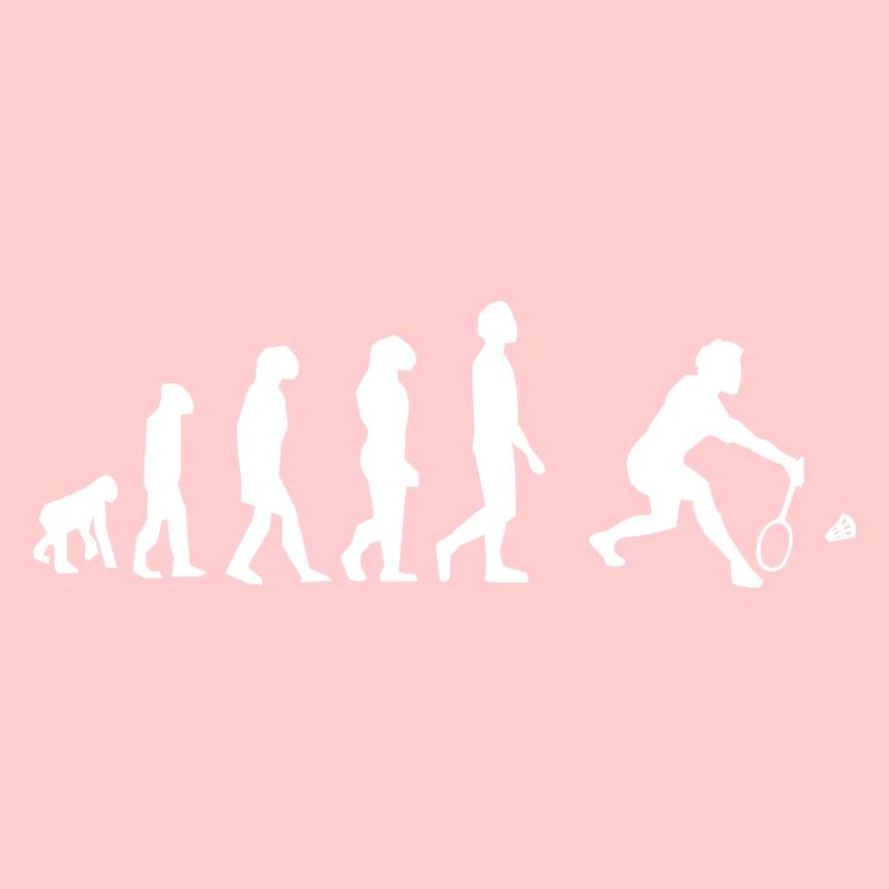 Badminton évolution