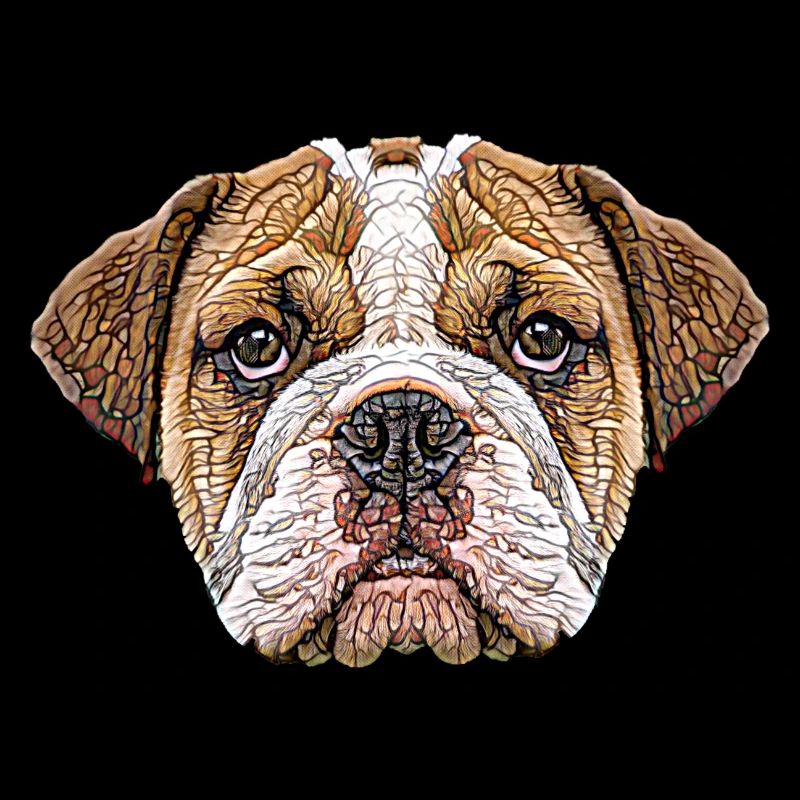 Visage de bouledogue anglais