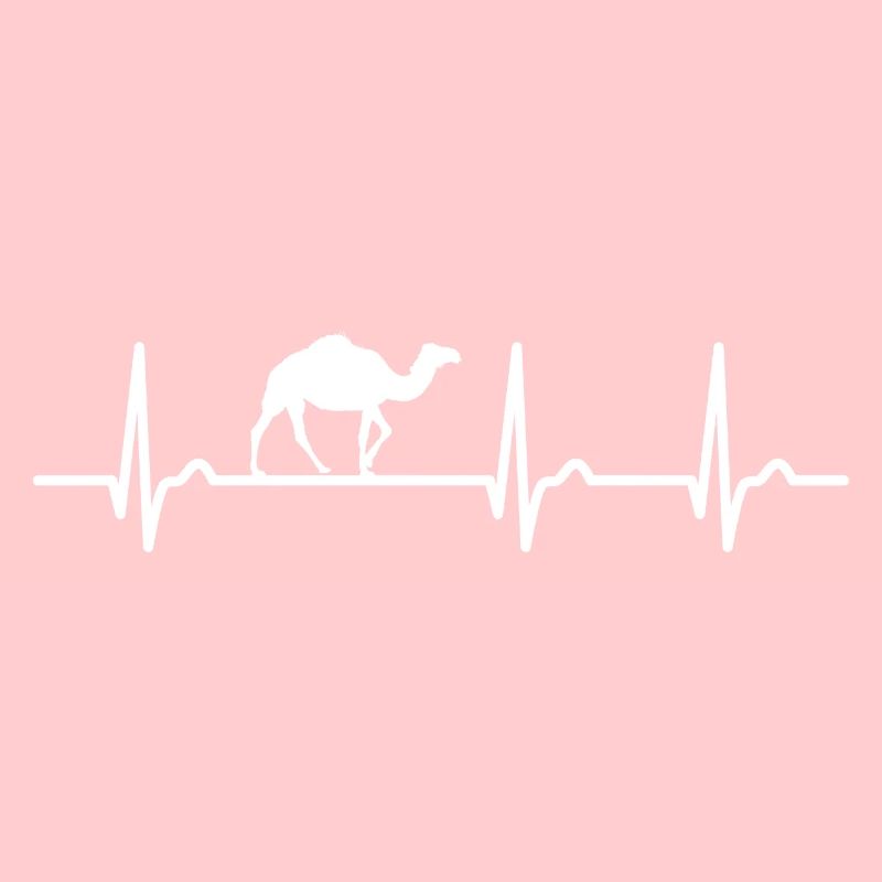 ECG curve - heart curve - pulse - camel - dromedary
