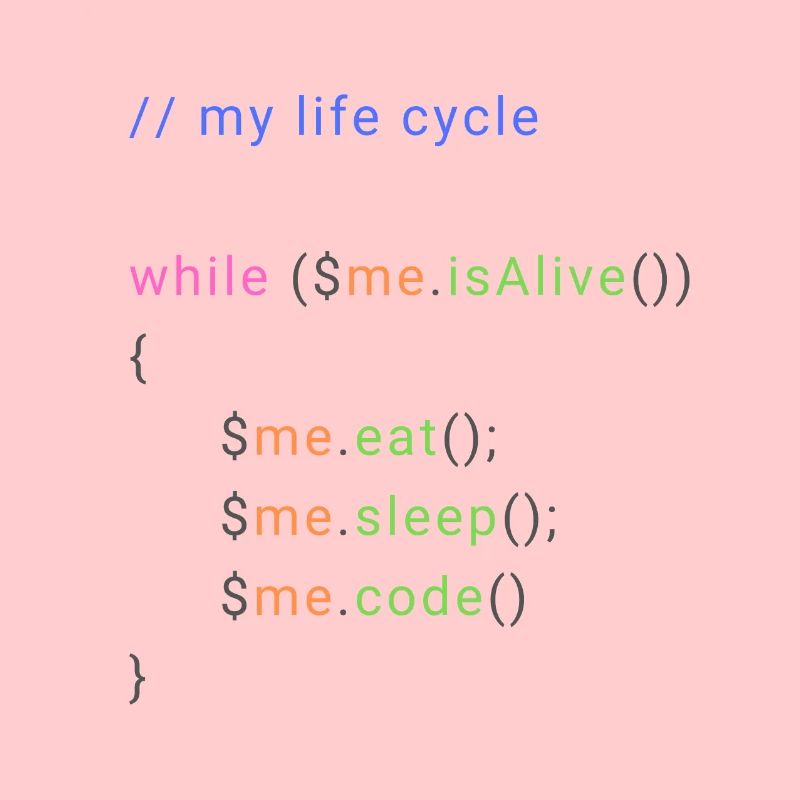 my life cycle dev