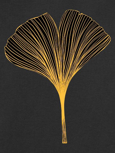 Ginkgo