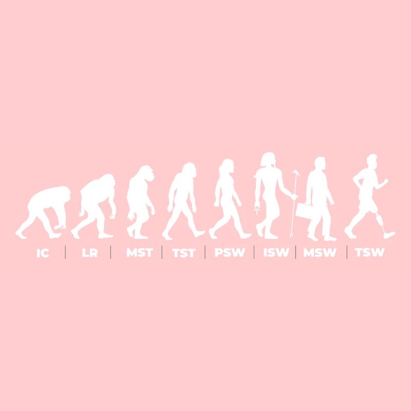 The Evolution & the Gait Cycle (gOT it!)