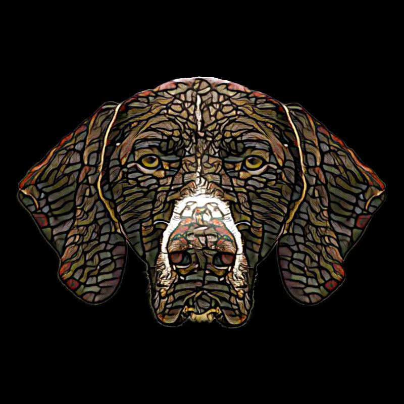 German Shorthaired Pointer Face