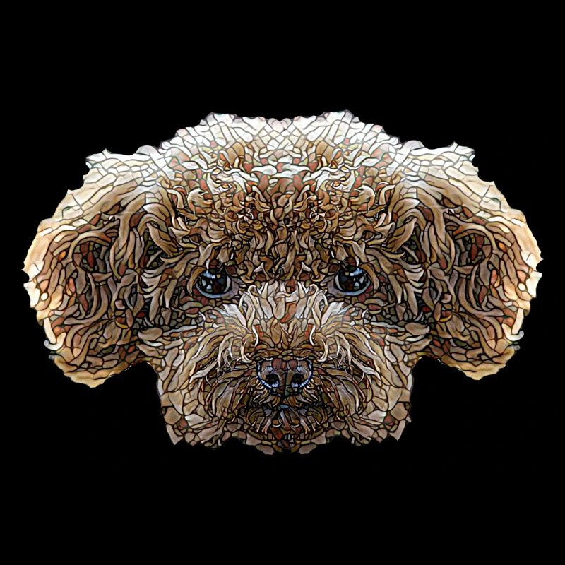 Visage de caniche jouet