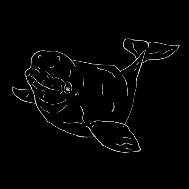 Beluga Wal weiß