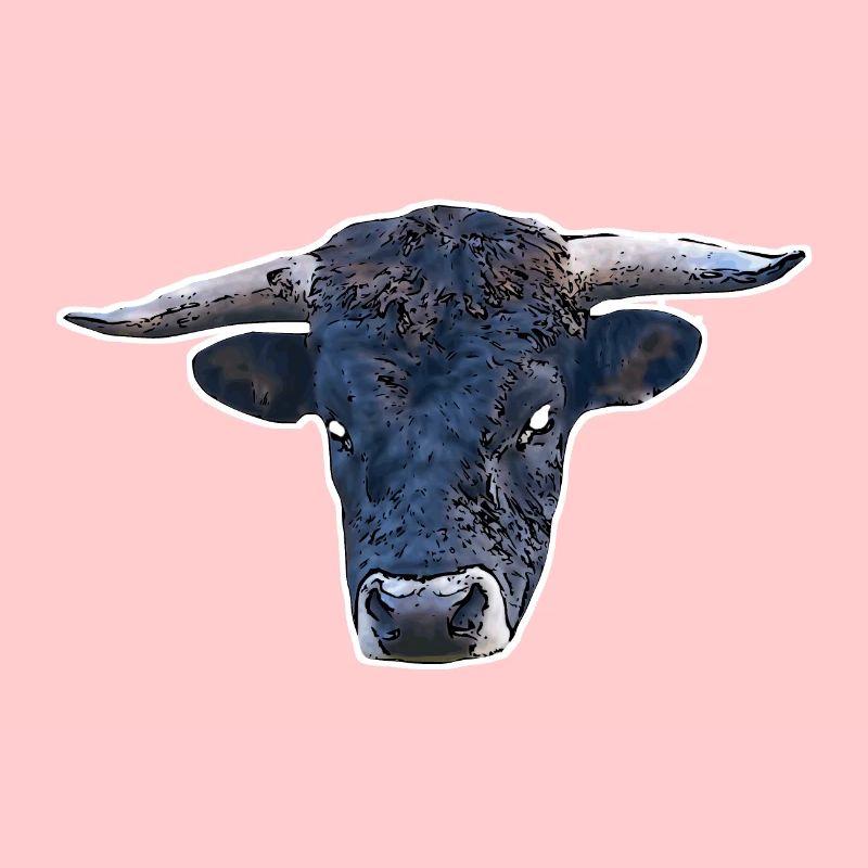 Toro