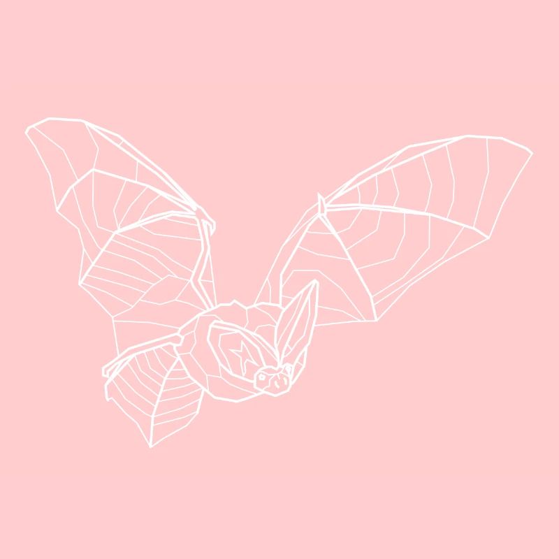 Long-eared bat white