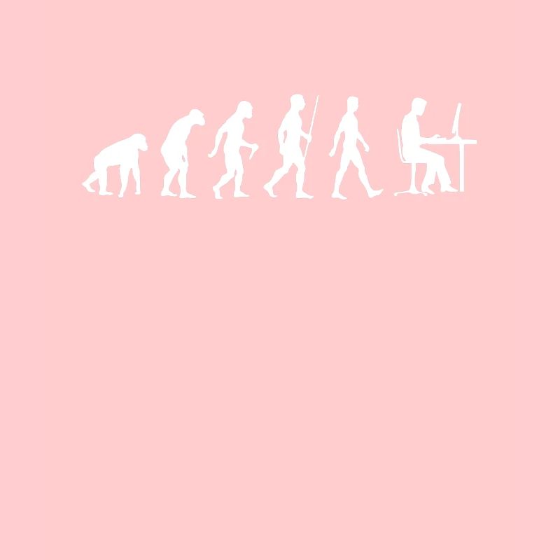 Les programmeurs Evolution développeur informatique