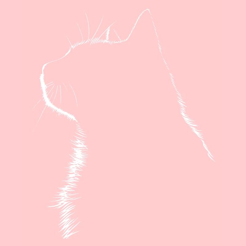 Chat, Motif De Chat