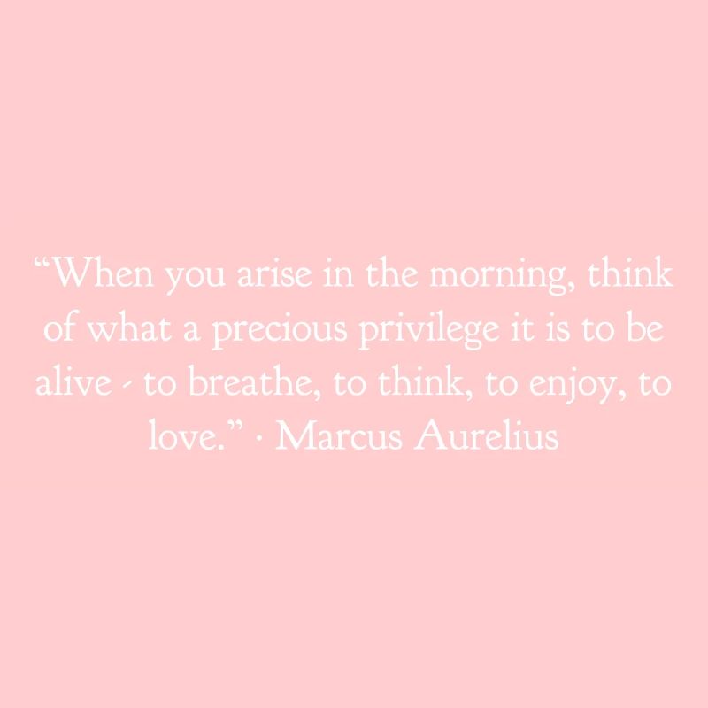 Quand tu te lèves le matin Marcus Aurelius