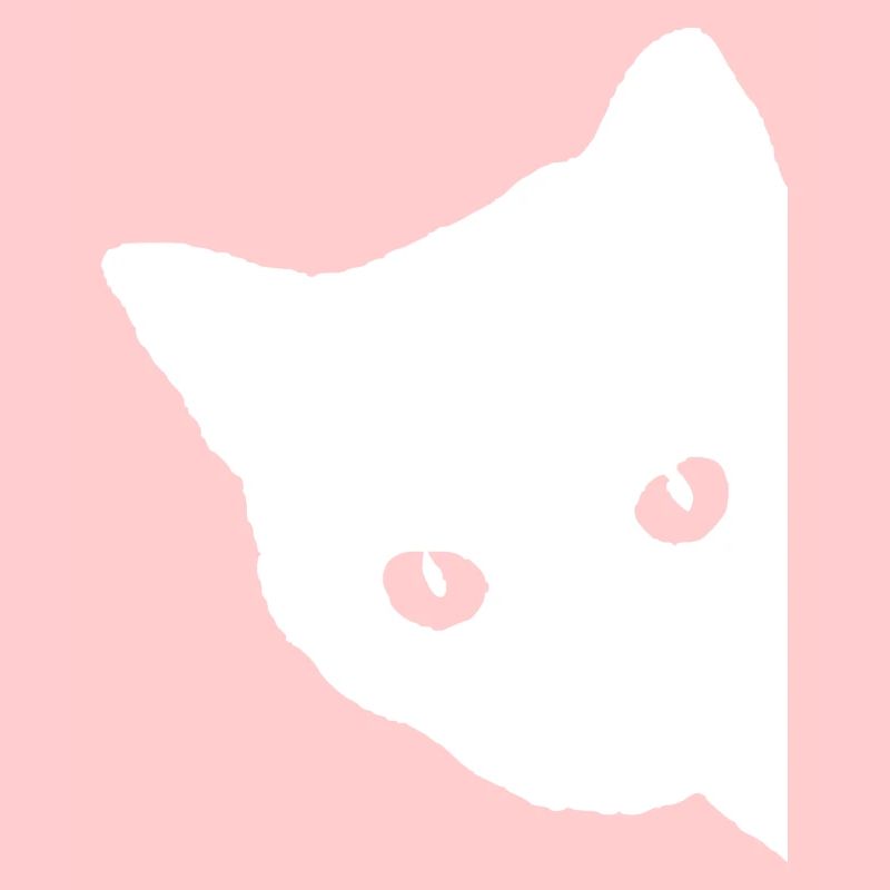 Visage de chat blanc