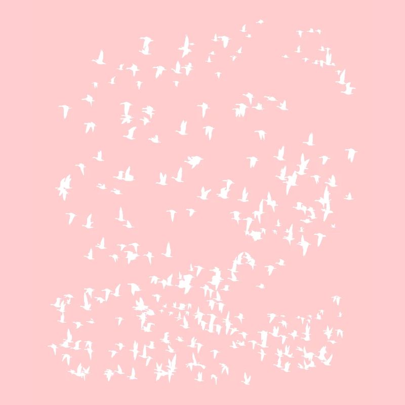 Bird migration minimalistic design