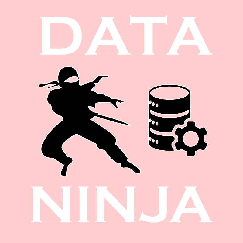 Data Ninja | Chemise Data Science