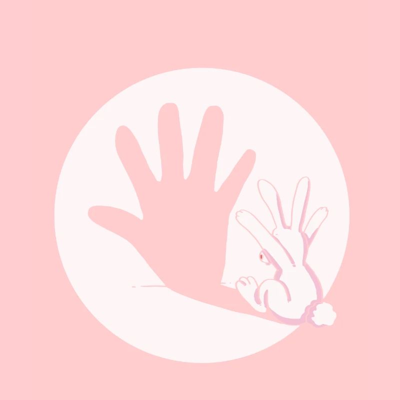 Bunny Rabbit Shadow Hand Easter Gift Idea