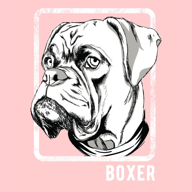 Hunde - Boxer