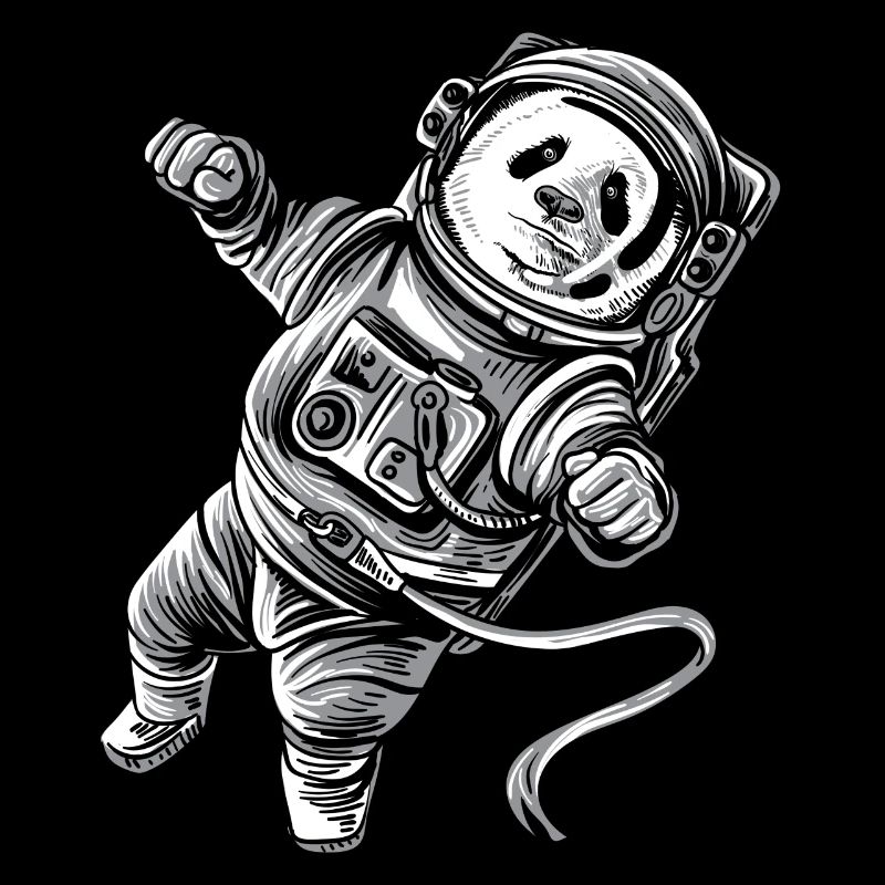 Panda d'astronaute dans l'espace Astropanda d'ours panda
