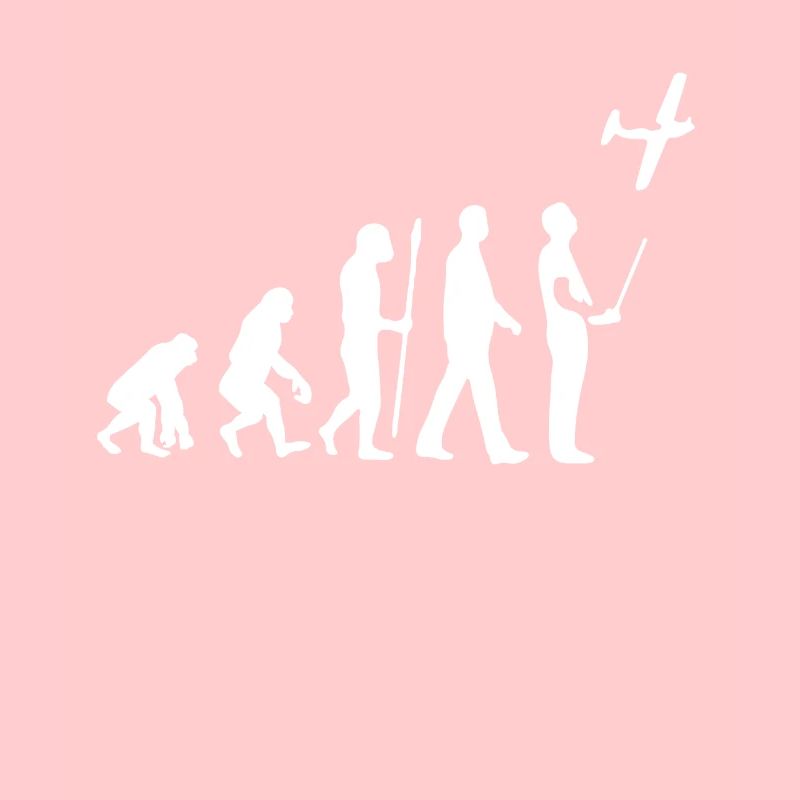 Evolution du modèle de vol