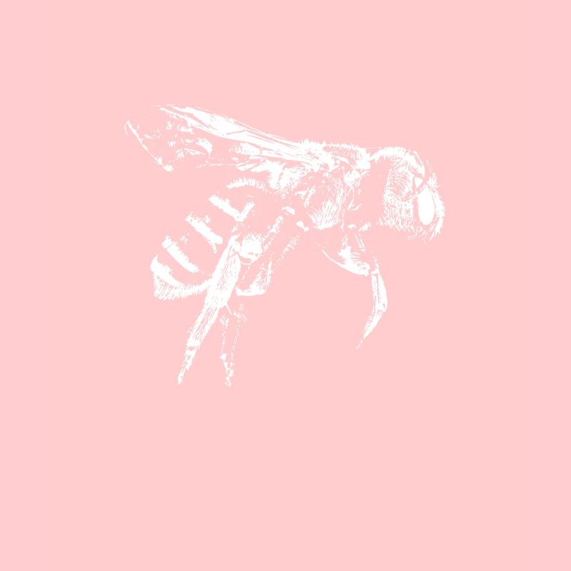 Flying bee honeybee drawing gift