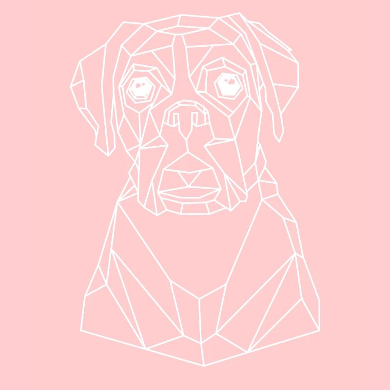 Cool dog
