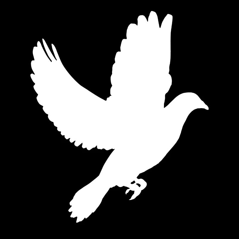 colombe