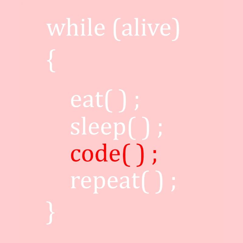 Computer Scientist Hobby