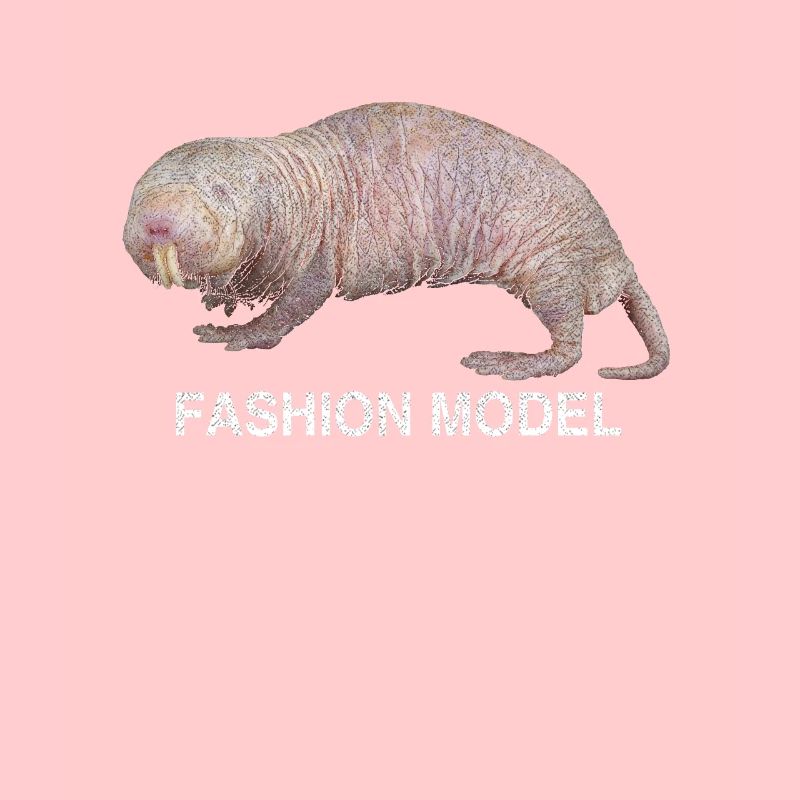 Nacktmull Mole Tier