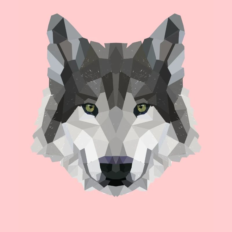 POLYGONE LOUPS LOUPS HUSKY PACK PACK CHIEN PACK PACK