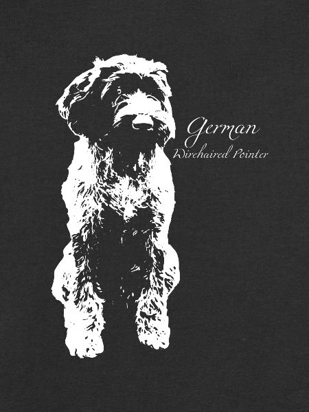 German Wirehaired Pointer
