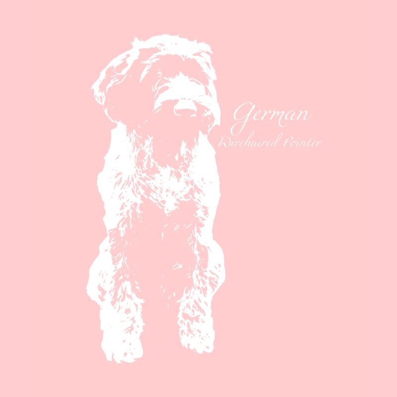 German Wirehaired Pointer