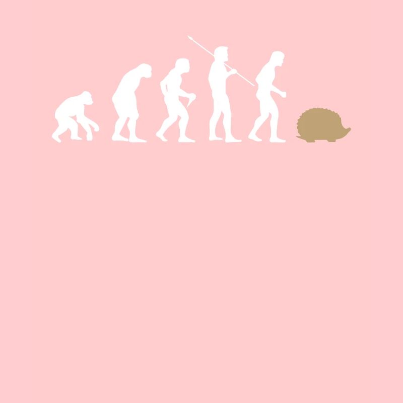 Évolution hérisson