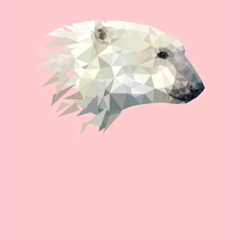 Polar bear