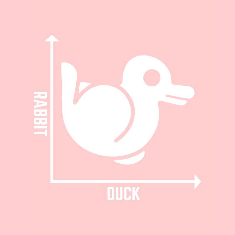 Rabbit Duck Graph Math Pun Student Teacher Easter