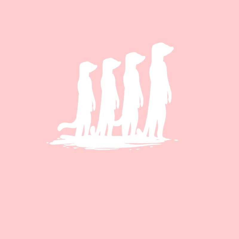 Suricates